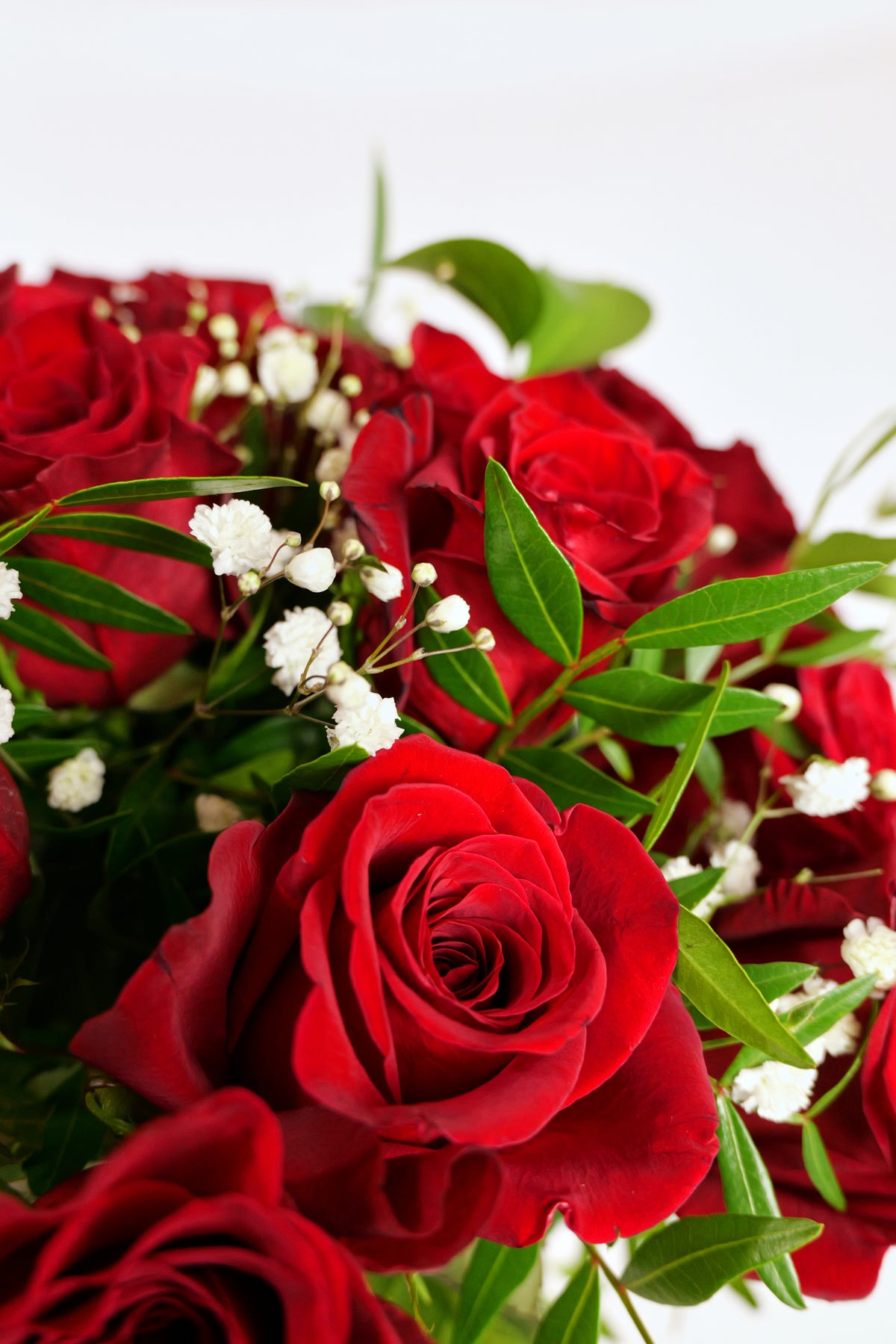 Ramo Rosas Premium Rojas