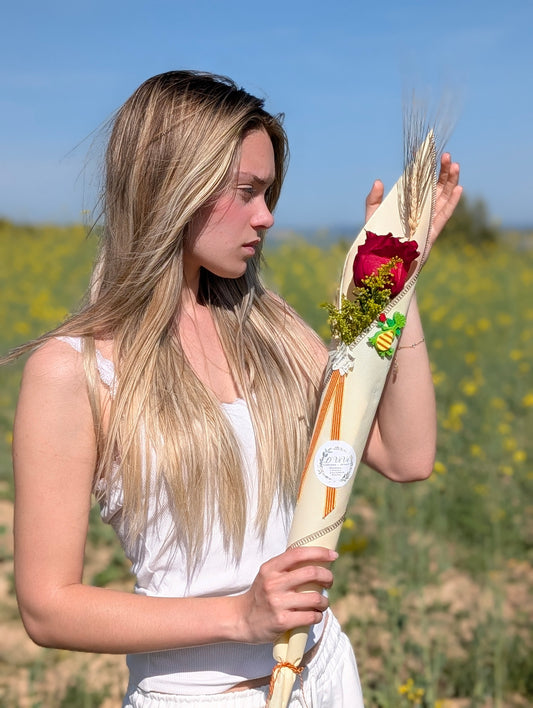 Rosa Sant Jordi