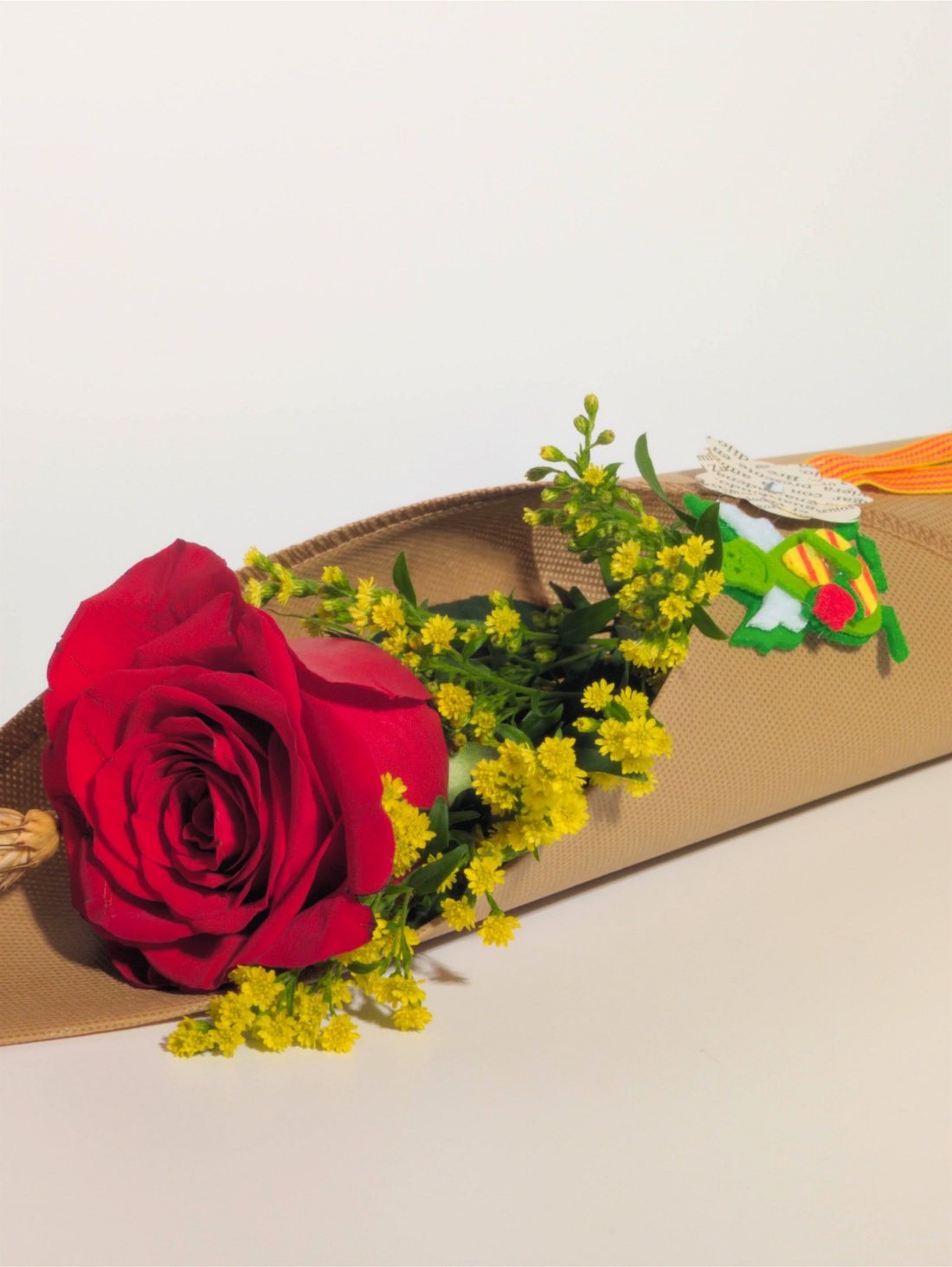 La rosa de Sant Jordi: por qué no todas las flores son iguales