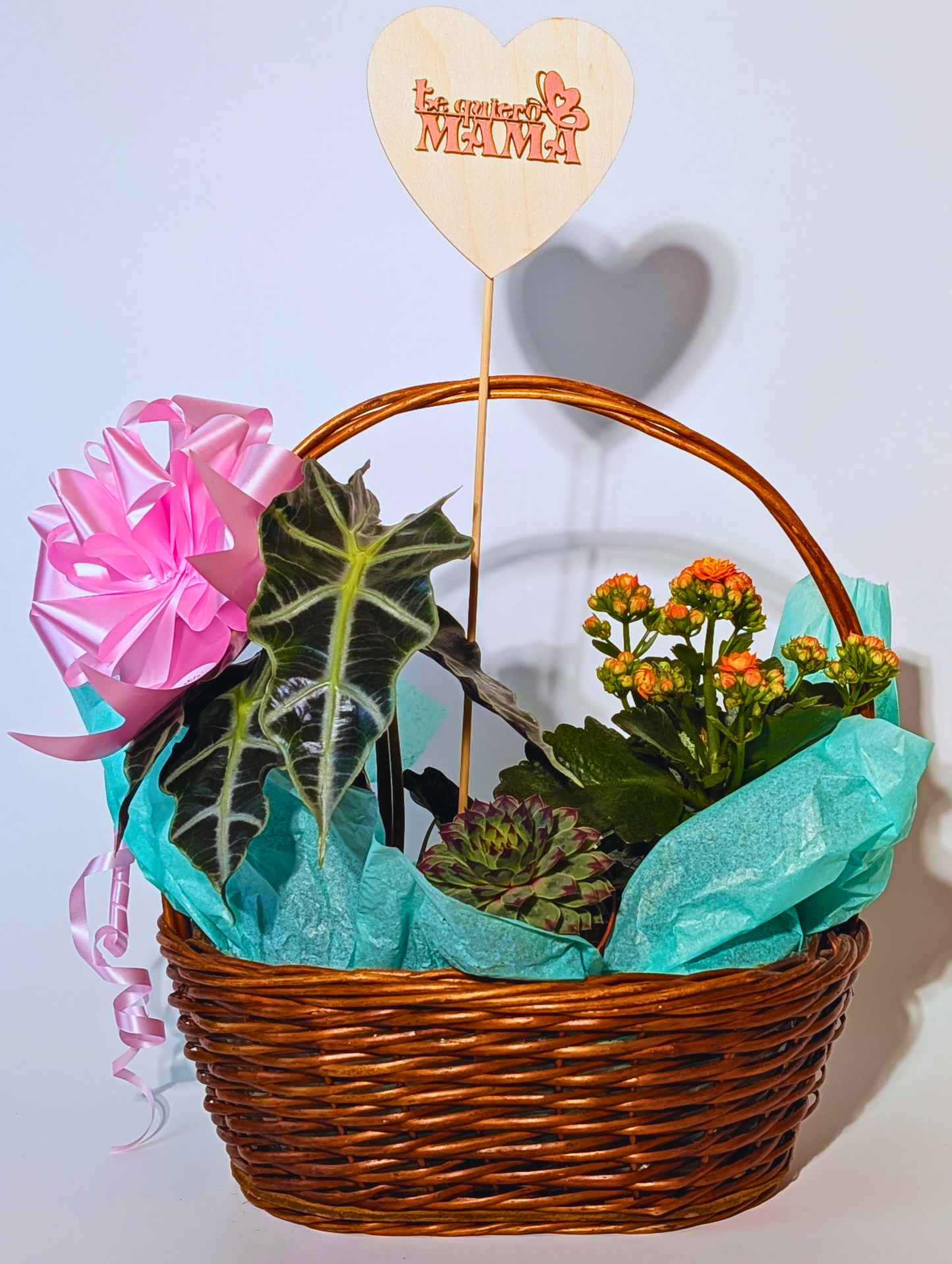 Cesta Mimbre- Día de la Madre