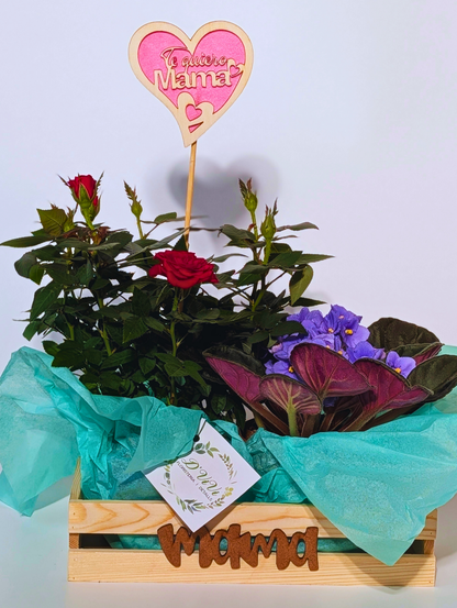 Base Madera Rosal & Violeta Africana- Día de la Madre