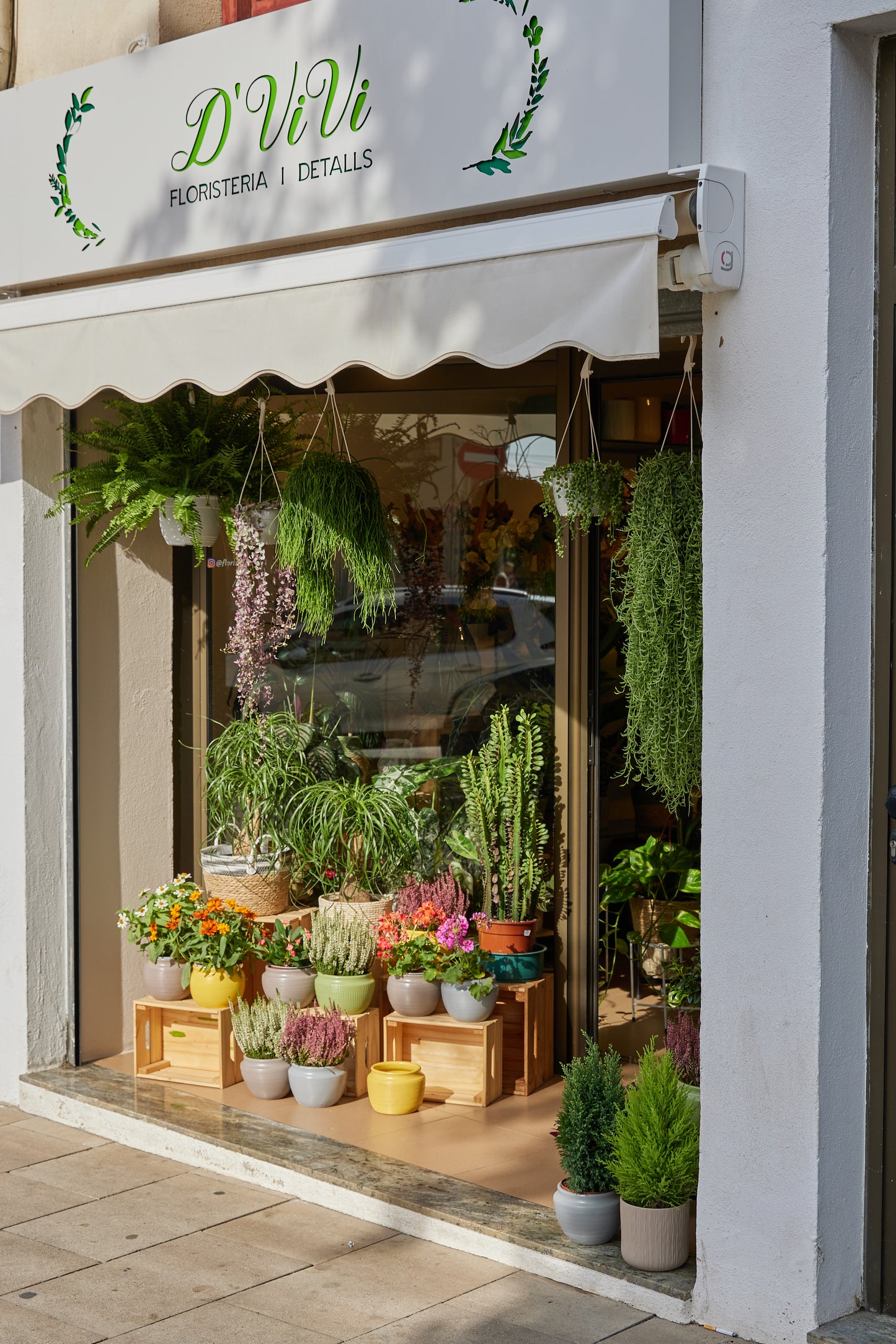 Tarjeta regalo Floristeria D’Vivi