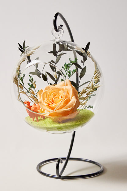 Cúpula Rosa Eterna