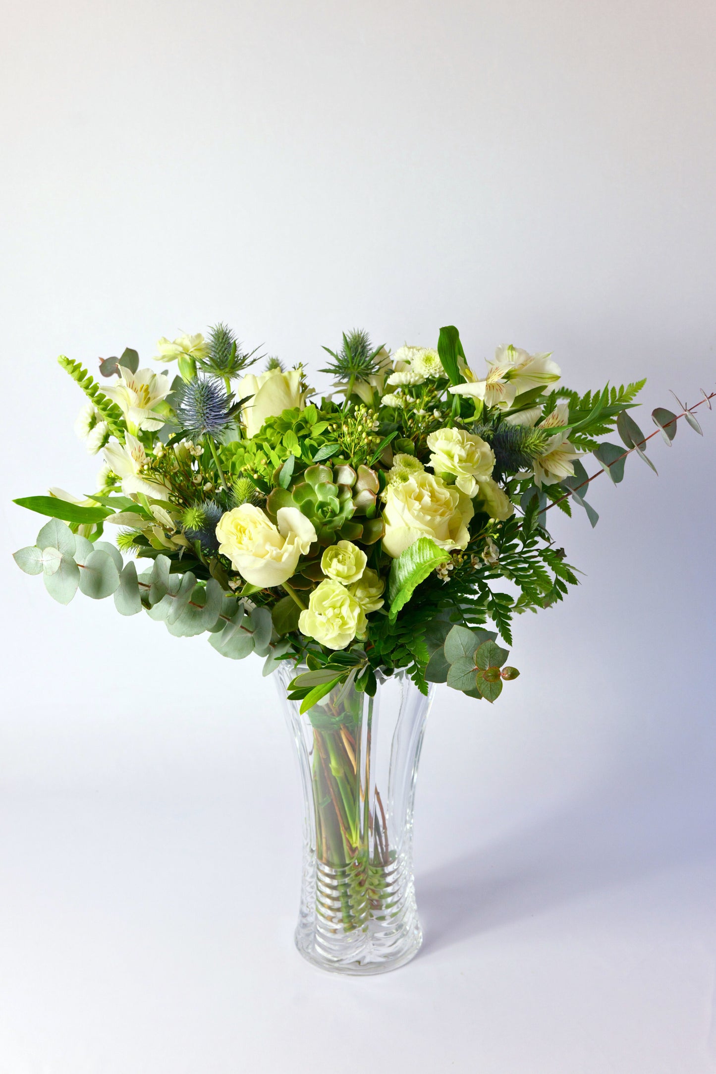 Ramo Bosque Encantado