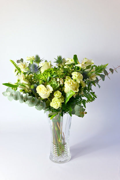 Ramo Bosque Encantado