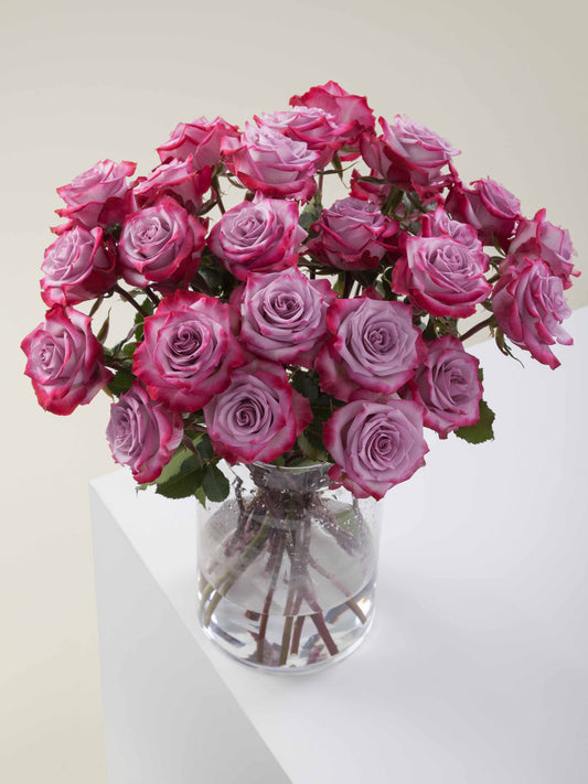 Ramo Rosas Premium pùrpura