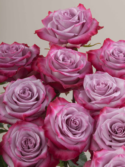 Ramo Rosas Premium Púrpura