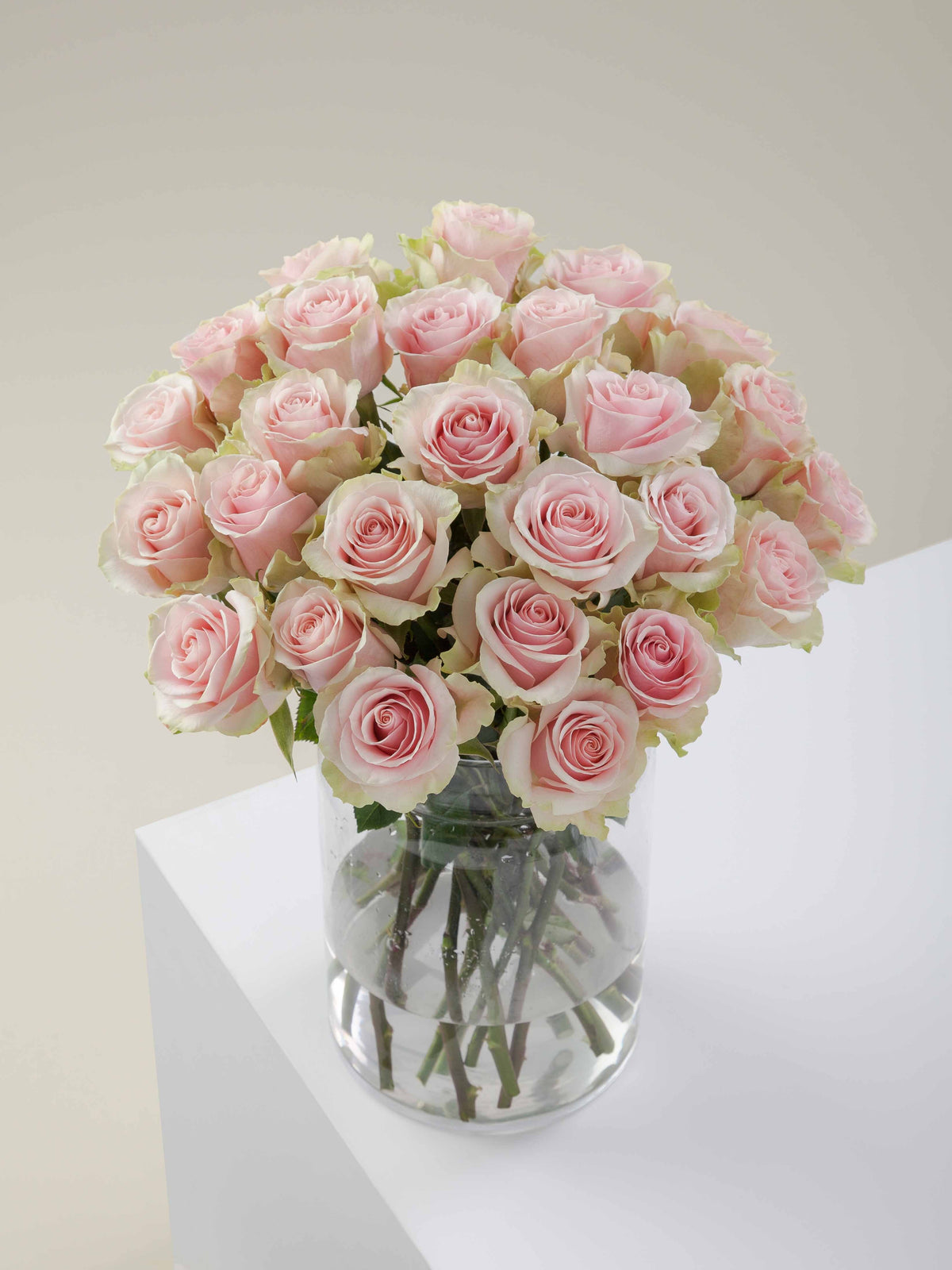Ramo Rosas Premium Rosa