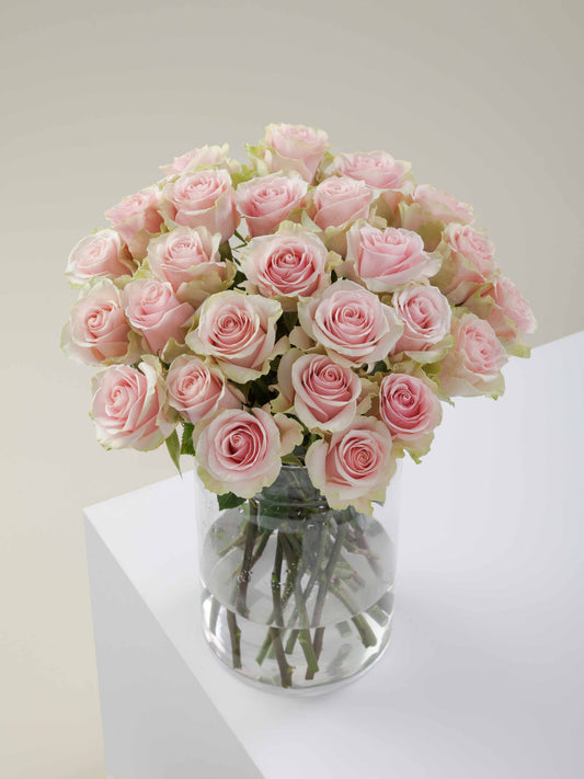 Ramo Rosas Premium rosada