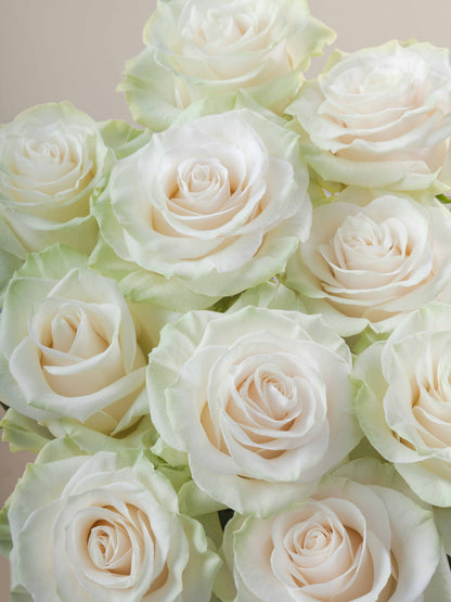 Ramo Rosas Premium Blancas