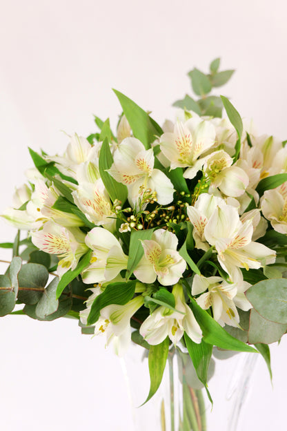 Ram d'Alstroemeries Blanques 