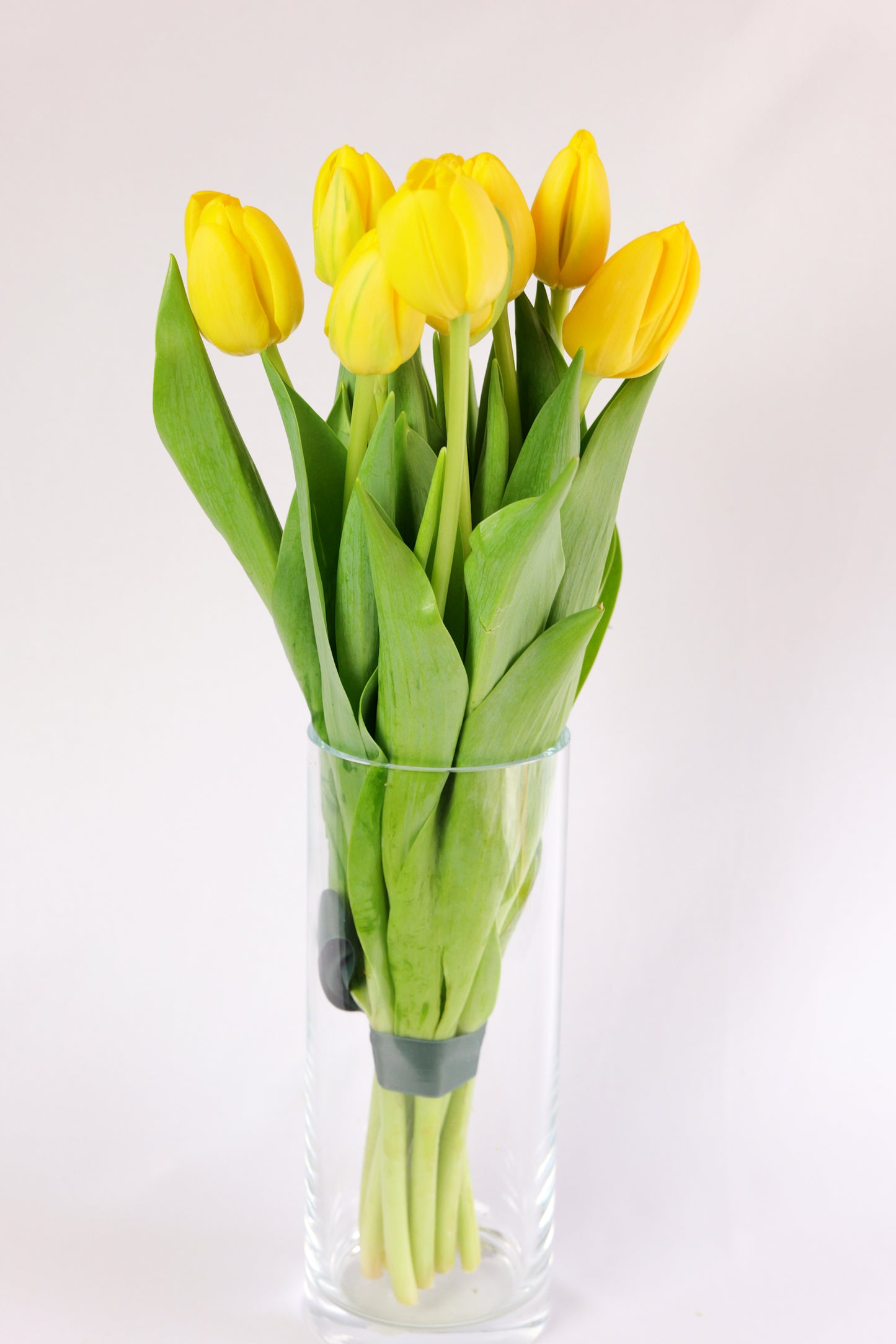 Ram de Tulipans 