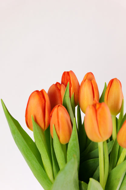 Ram de Tulipans 