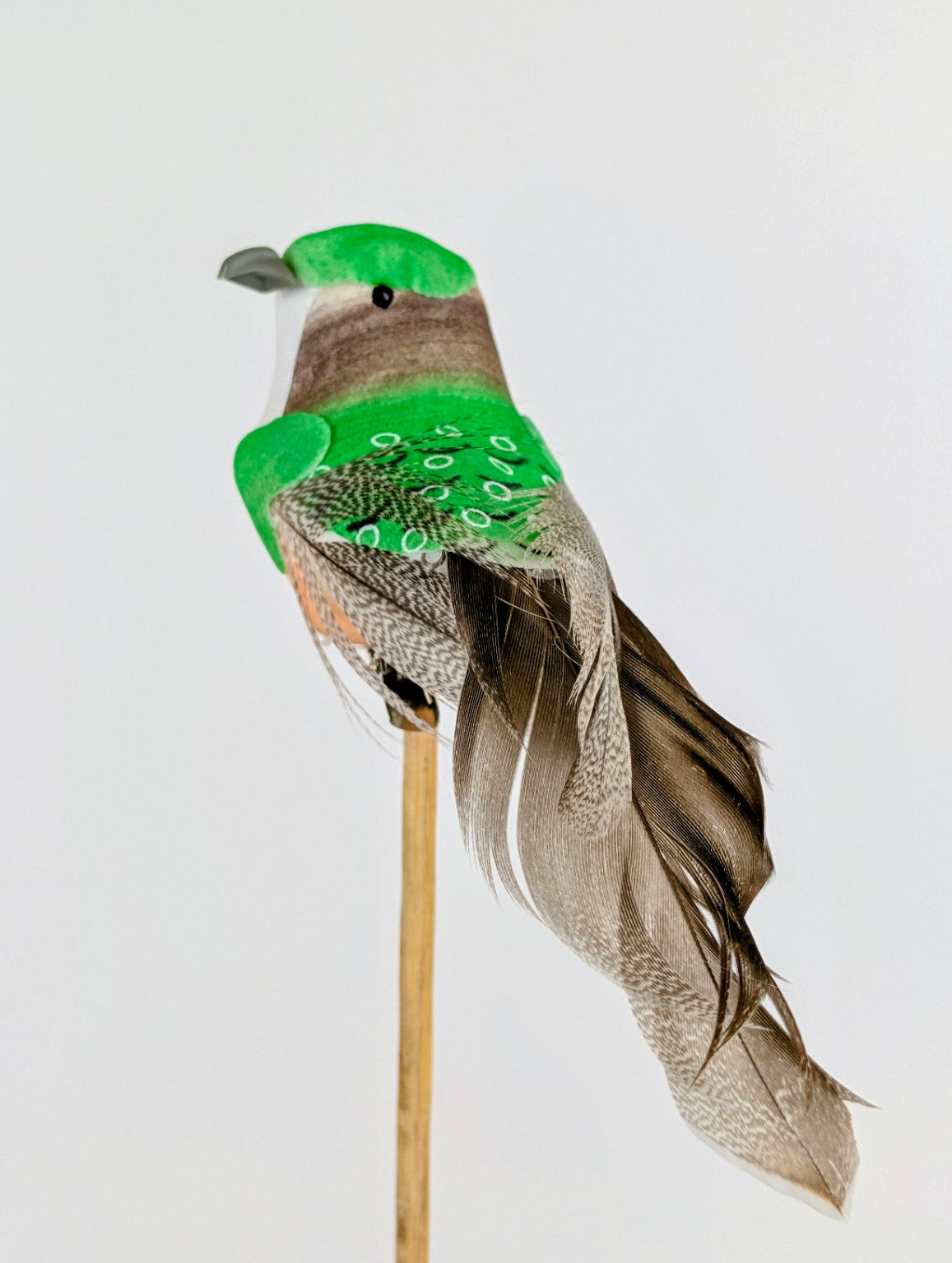 Pin D'Vivi modelo 6